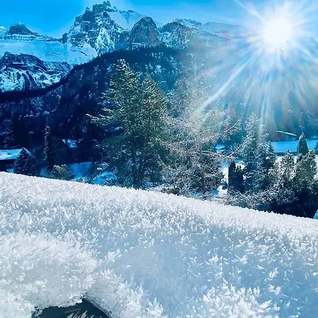 Unique Penthouse With Gallery And Mountain View Apartmán Kandersteg