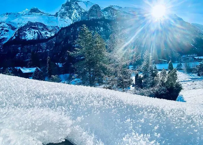 Unique Penthouse With Gallery And Mountain View Lejlighed Kandersteg