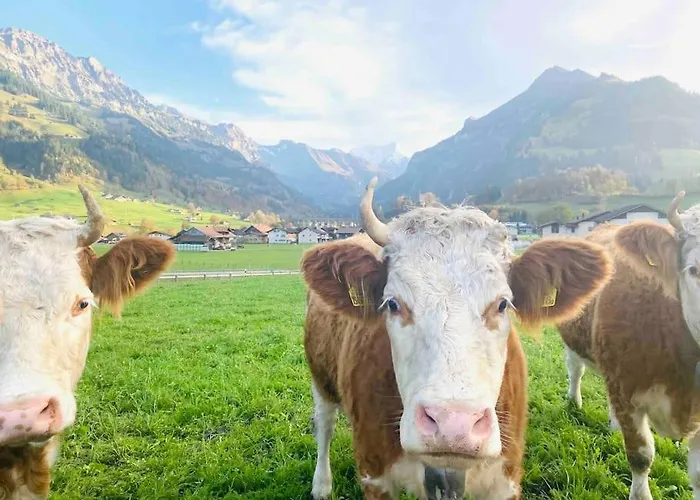 Unique Penthouse With Gallery&mountain View Appartement Kandersteg