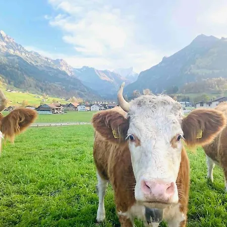 Unique Penthouse With Gallery And Mountain View Apartmán Kandersteg