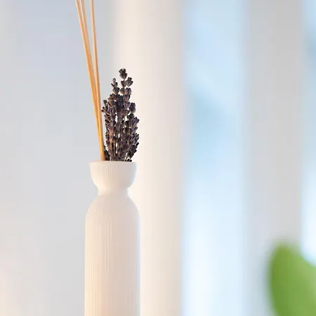 Unique Penthouse With Gallery And Mountain View